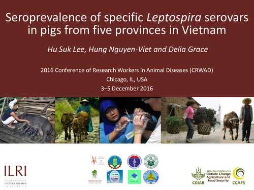 Seroprevalence of specific Leptospira serovars in pigs from five provinces in Vietnam