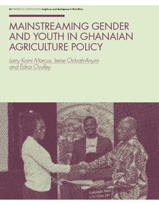 Mainstreaming gender and youth in Ghanaian agriculture policy