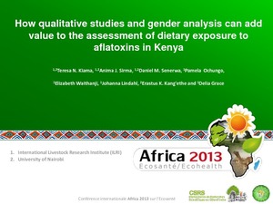 How qualitative studies and gender analysis can add value to the assessment of dietary exposure to aflatoxins in Kenya