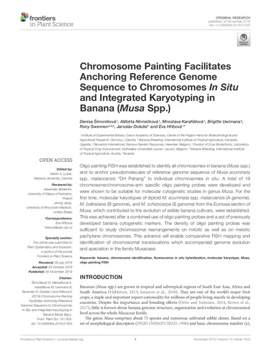 Chromosome painting facilitates anchoring reference genome sequence to chromosomes In Situ and integrated karyotyping in banana (Musa Spp.)