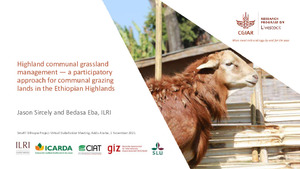 Highland communal grassland management - a participatory approach for communal grazing lands in the Ethiopian Highlands