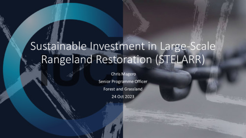 Sustainable Investment in Large Scale Rangeland Restoration (STELARR)