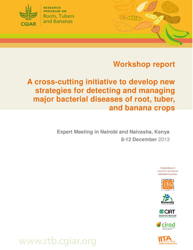 A cross-cutting initiative to develop new strategies for detecting and managing major bacterial diseases of root, tuber, and banana crops (8-12 December 2013, Nairobi and Naivasha, Kenya).