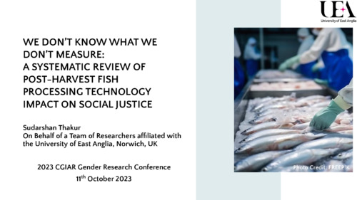 We don’t know what we don’t measure: A systematic review of post-harvest fish processing technology impact on social justice
