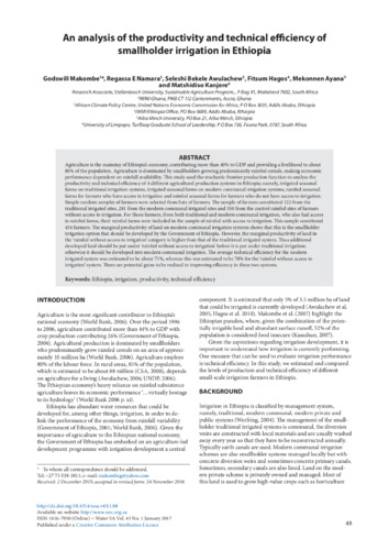 An analysis of the productivity and technical efficiency of smallholder irrigation in Ethiopia