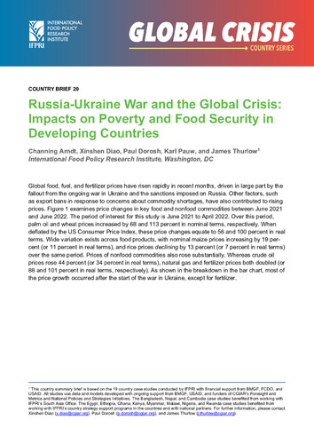 Russia-Ukraine war and the global crisis: Impacts on poverty and food security in developing countries