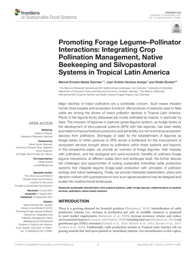 Promoting forage legume–pollinator interactions: Integrating crop pollination management, native beekeeping and silvopastoral systems in tropical Latin America