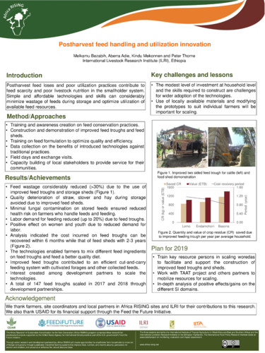 High value fruit trees production and scaling in the Ethiopian highlands