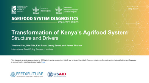 Kenya’s agrifood system structure and drivers of transformation