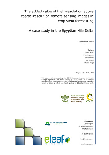 The added value of high-resolution above coarse-resolution remote sensing images in crop yield forecasting: A case study in the Egyptian Nile Delta