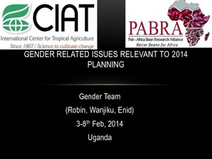Gender related issues relevant to 2014 planning