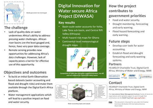 Digital Innovation for Water secure Africa Project (DIWASA)