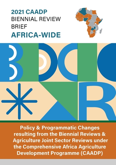 Policy and programmatic changes resulting from the biennial reviews and agriculture joint sector reviews under the Comprehensive Africa Agriculture Development Programme (CAADP). Third Biennial Review Brief: Africa-Wide