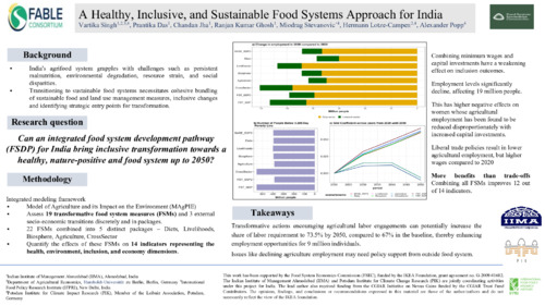 A Healthy, Inclusive, and Sustainable Food Systems Approach for India