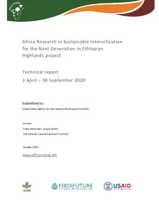 Africa Research in Sustainable Intensification for the Next Generation Ethiopian Highlands project, technical report, 1 April –30 September 2020