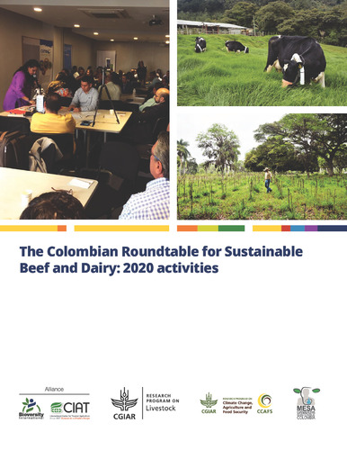 The Colombian Roundtable for Sustainable Beef and Dairy: 2020 activities