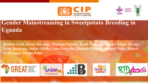 Gender mainstreaming in sweet potato breeding in Uganda
