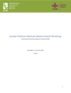 GENDER Platform: Methods module kickoff workshop