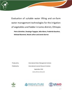 Evaluation of suitable water lifting and on-farm water management technologies for the irrigation of vegetables and fodder in Lemo district, Ethiopia