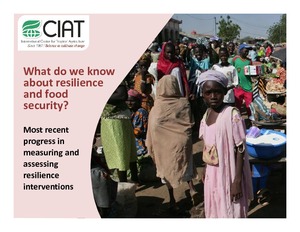 What do we know about resilience and food security? Most recent progress in measuring and assessing resilience interventions