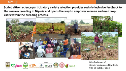 Scaled citizen science participatory variety selection provides socially inclusive feedback to the cassava breeding in Nigeria and opens the way to empower women and men crop users within the breeding process