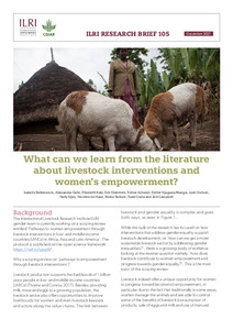 What can we learn from the literature about livestock interventions and women's empowerment?
