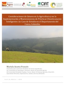 Consideraciones de género en la Agricultura y en la Implementación y Mantenimiento de Prácticas Climáticamente Inteligentes: un Caso de Estudio en el Departamento del Cauca, Colombia. Tesis de Máster de Ciencias AgrisMundus