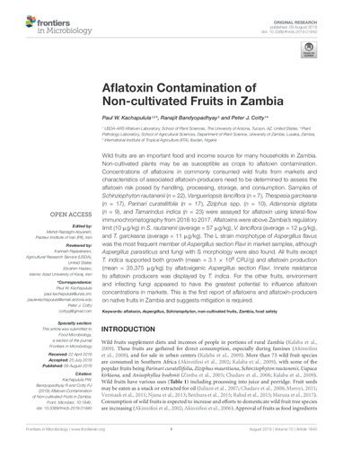 Aflatoxin contamination of non-cultivated fruits in Zambia