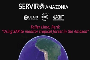 Using SAR to monitor tropical forest in the Amazon