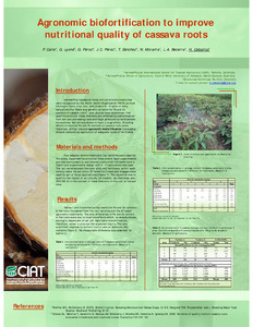 Agronomic biofortification to improve nutritional quality of cassava roots