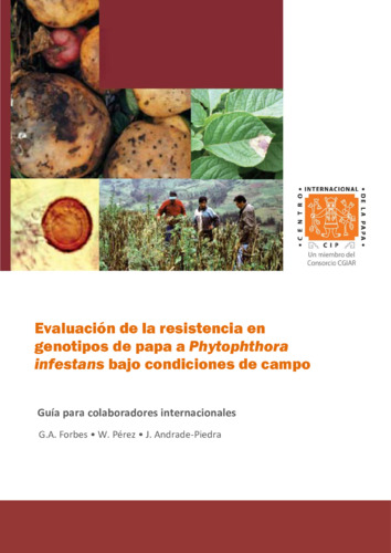 Evaluación de la resistencia en genotipos de papa a Phytophthora infestans bajo condiciones de campo: Guía para colaboradores internacionales