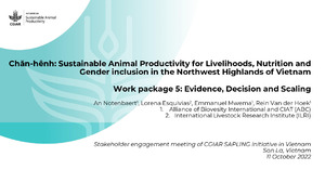 Chăn-hênh: Sustainable Animal Productivity for Livelihoods, Nutrition and Gender inclusion in the Northwest Highlands of Vietnam, Work package 5: Evidence, Decision and Scaling