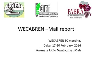 WECABREN - Mali Report