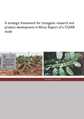A strategic framework for transgenic research and product development in Africa: Report of a CGIAR study