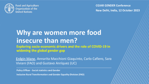 Why are women more food insecure than men? Exploring socio-economic drivers and the role of COVID-19 in widening the global gender gap