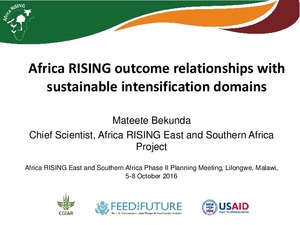 Africa RISING outcome relationships with sustainable intensification domains