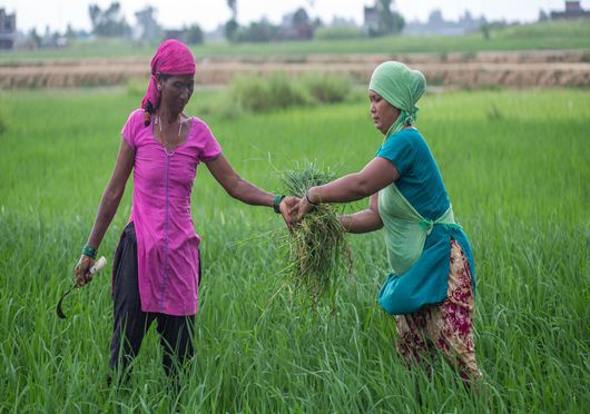 Women defining water, energy, food, and ecosystems leadership in Nepal