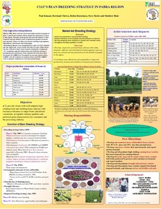 CIAT’s bean breeding strategy in PABRA region