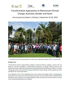 Transformation Approaches to Mainstream Climate Change, Nutrition, Gender and Youth