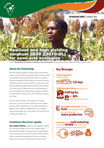 Resilient and high yielding sorghum (IESV 23010-DL) for semi-arid ecologies