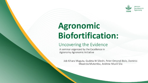 Agronomic biofortification: Uncovering the evidence. A seminar organized by the Excellence in Agronomy Agronomic Initiative