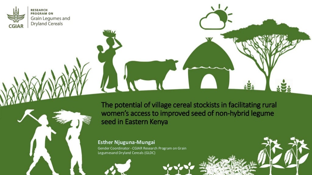 The potential of village cereal stockists in facilitating rural women's access to improved seed of non-hybrid legume seed in Eastern Kenya