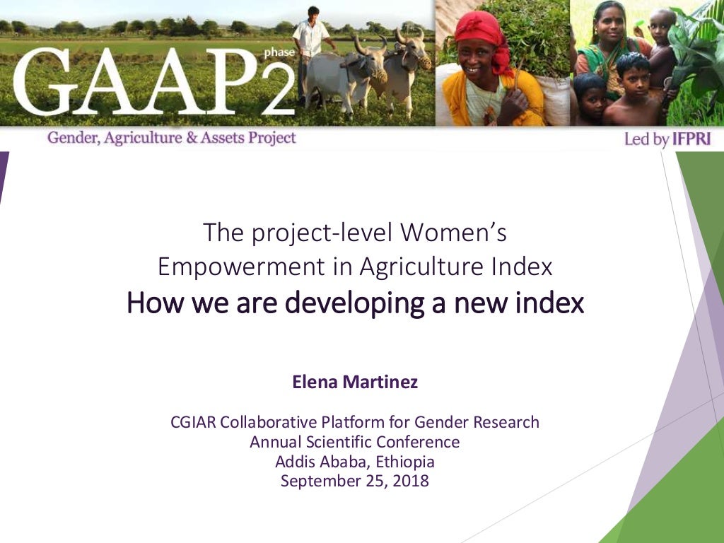 The project-level Women's Empowerment in Agriculture Index: How we are developing a new index