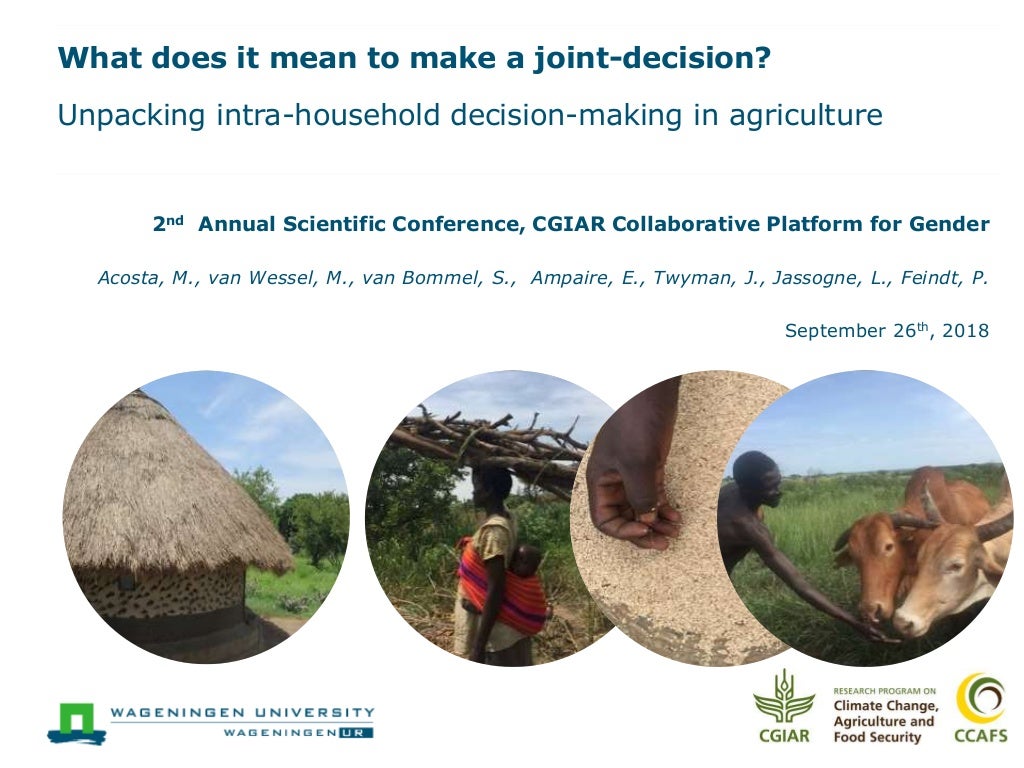 What does it mean to make a joint decision? Unpacking intra-household decision-making in agriculture