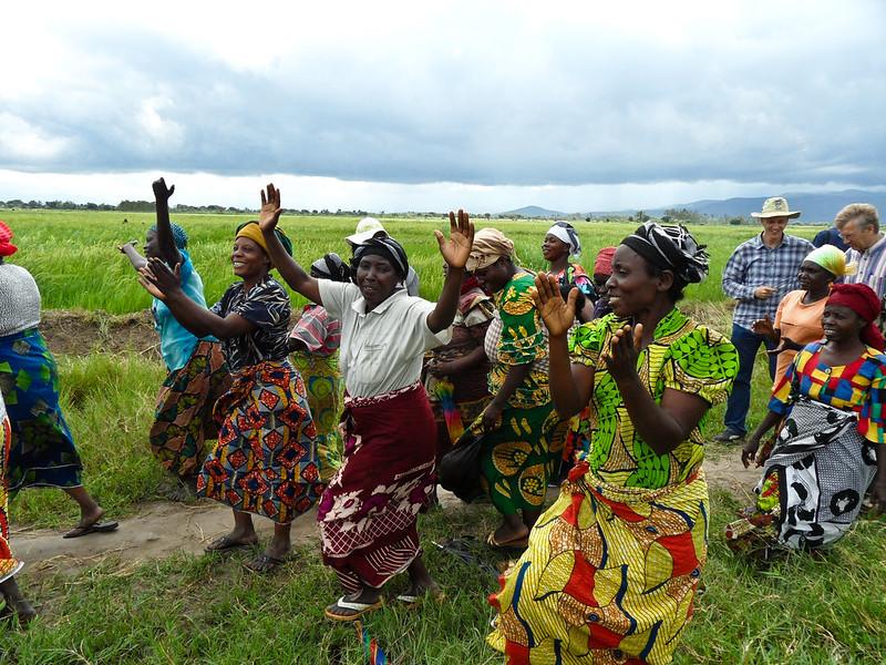 Burundi women farmers who have been  trained as part of an IRRI / CARE program to grow rice.