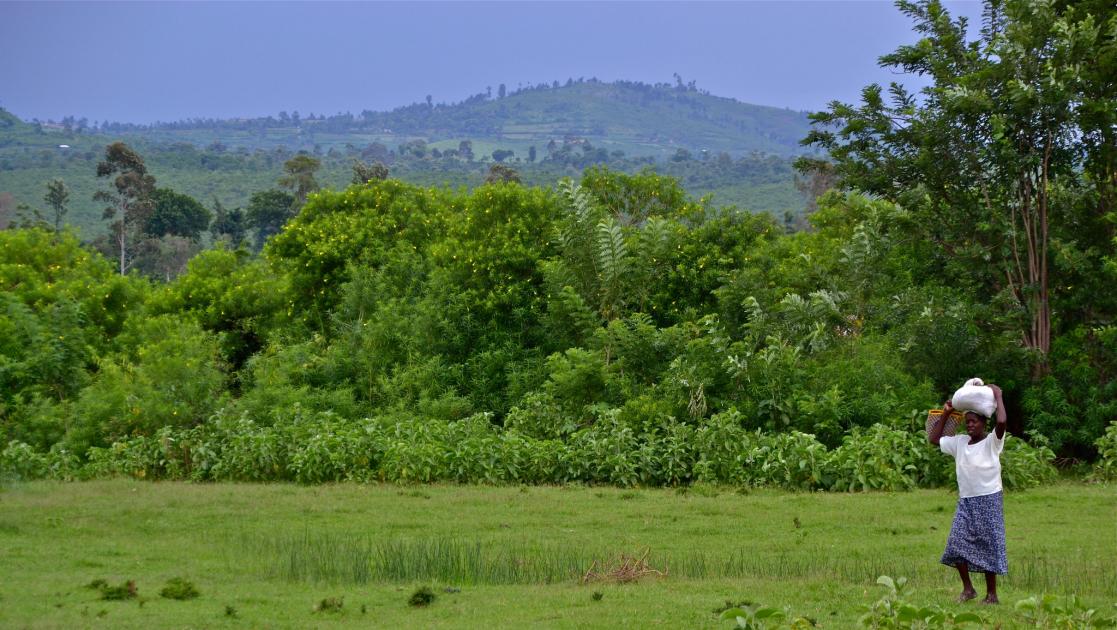 CSW67 Closing the gender gap investing in genderresponsive