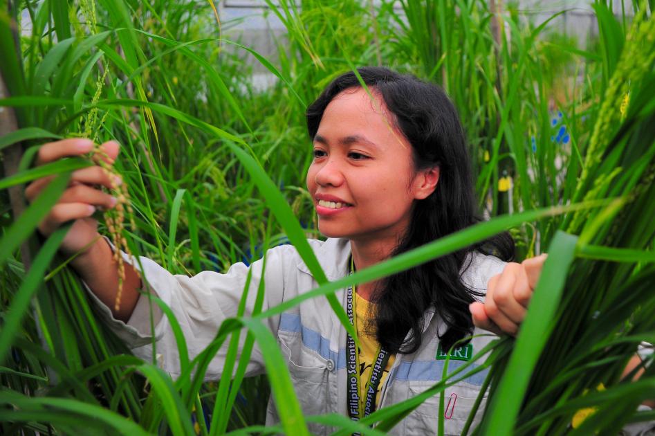 The women rethinking rice farming | CGIAR GENDER Impact Platform