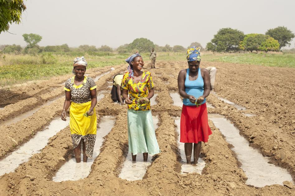 Gender #1 – The Basics | CGIAR Gender Equality and Inclusion Accelerator