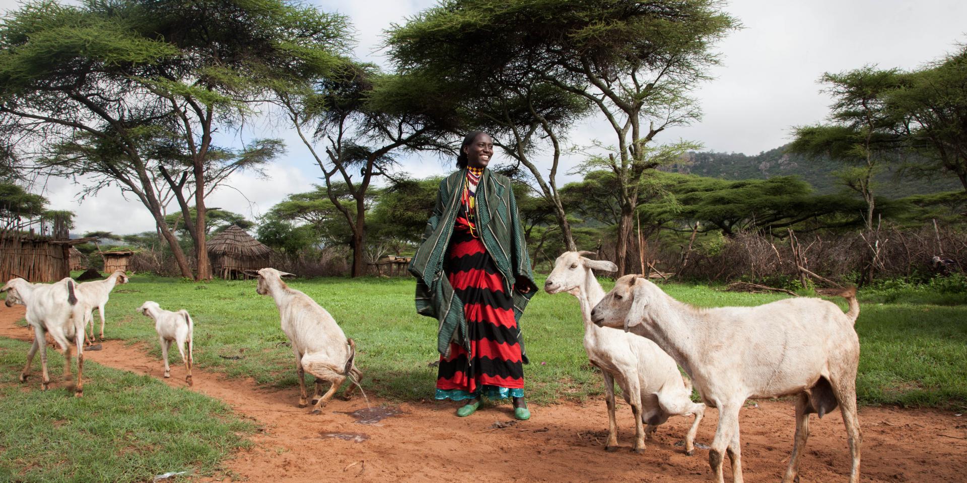 A woman with livestock