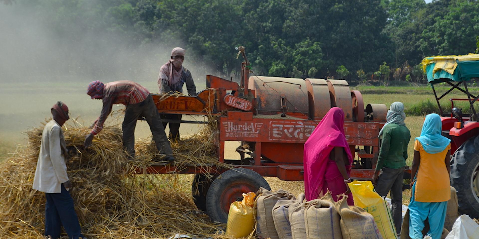 Farmer collective in Bihar, India. Photo: WLE.